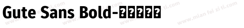 Gute Sans Bold字体转换